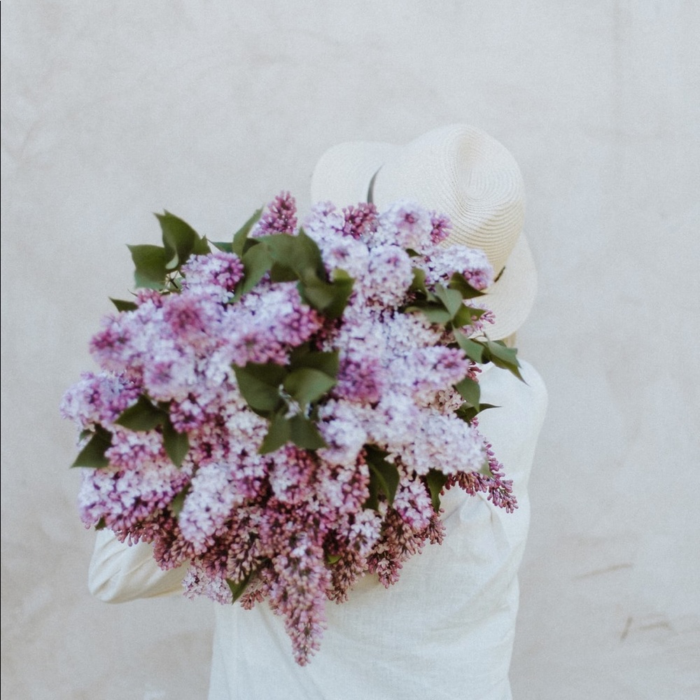 ✨IN WITH THE NEW✨